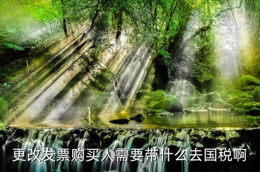 更改發(fā)票價(jià)格需要帶上什么東西，變更發(fā)票購(gòu)買人需要帶什么東西去稅務(wù)局