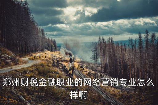 互聯(lián)網(wǎng)財稅銷售是什么，鄭州財稅金融職業(yè)的網(wǎng)絡(luò)營銷專業(yè)怎么樣啊