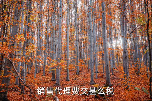 代理費(fèi)繳納什么稅，銷售代理費(fèi)交甚么稅