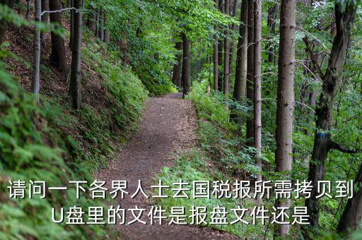 稅務(wù)報(bào)盤文件是什么，請問一下各界人士去國稅報(bào)所需拷貝到U盤里的文件是報(bào)盤文件還是