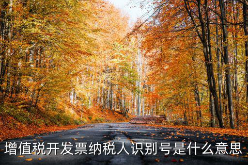 增值稅開(kāi)發(fā)票納稅人識(shí)別號(hào)是什么意思