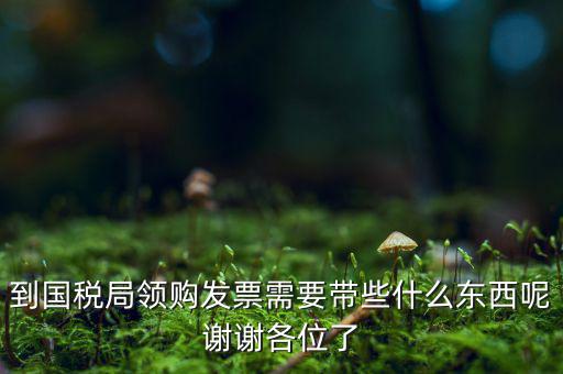 國(guó)稅局領(lǐng)票帶什么東西，去稅務(wù)局領(lǐng)發(fā)票需要帶什么資料去