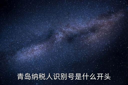 納稅人識(shí)別號(hào)什么開頭，納稅人識(shí)別號(hào)330100開頭的是哪個(gè)地方的