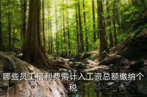 什么樣的福利費(fèi)要交個(gè)稅，什么樣的福利費(fèi)不需要交納個(gè)人所得稅呢