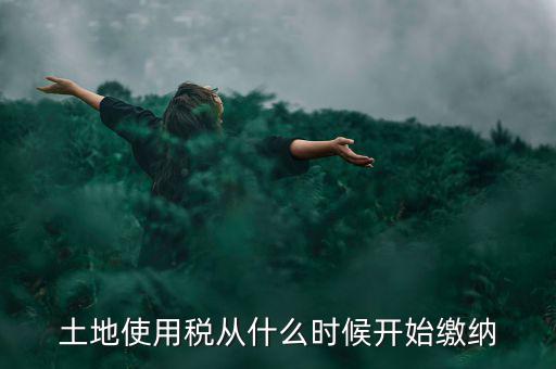城鎮(zhèn)土地使用稅什么時(shí)候交，房地產(chǎn)開(kāi)發(fā)企業(yè)繳納城鎮(zhèn)土地使用稅的時(shí)間是多久