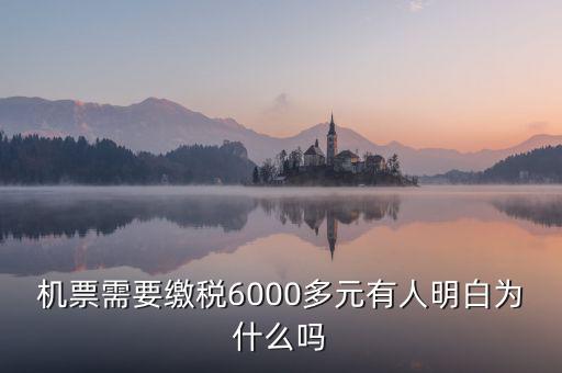 為什么國(guó)際機(jī)票要收稅，國(guó)際機(jī)票為什么要另外交稅費(fèi)