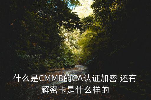 東莞ca證書密碼是什么意思，機(jī)構(gòu)代碼的ca證書的PIN碼是什么我用CA證書登陸國稅時提示詳細(xì)