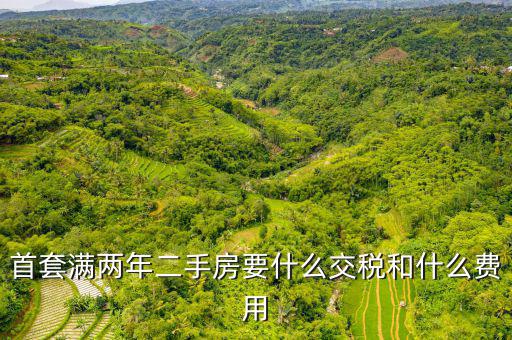 賣滿2年的房子交什么稅，商品房滿2年了出售的話需要交哪些稅詳細點