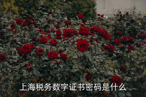 稅務(wù)數(shù)字證書密碼是什么，稅務(wù)密鑰是什么東西是數(shù)字證書嗎