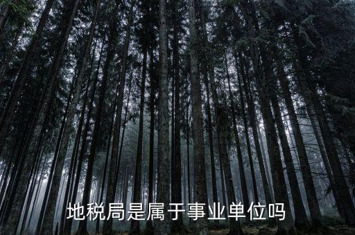 地稅屬于什么單位，地稅局是屬于事業(yè)單位嗎