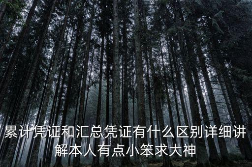 什么是累計(jì)發(fā)票，什么是累計(jì)發(fā)票