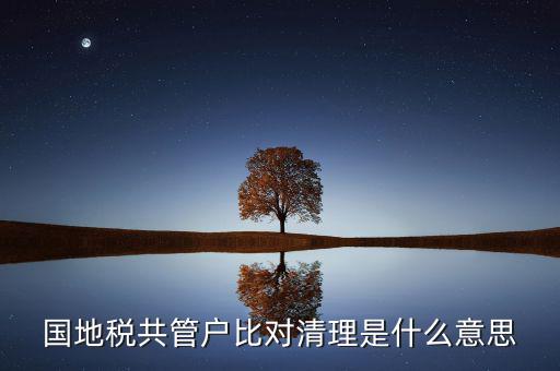 什么是國地稅共管，國稅地稅共管公司都需要每個月報稅嗎意思就是說我每個月地稅