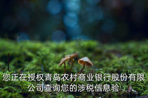 涉稅鑒證是什么意思，國(guó)稅局涉稅證明中的認(rèn)證結(jié)果為認(rèn)證相符是什么意思