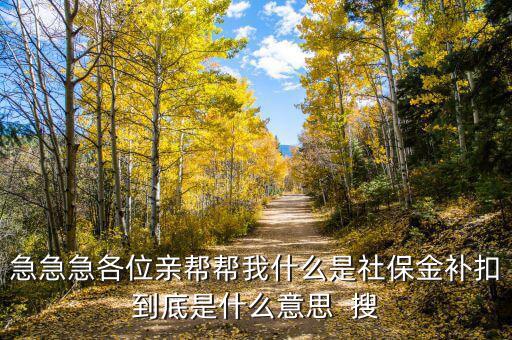 急急急各位親幫幫我什么是社保金補(bǔ)扣到底是什么意思  搜