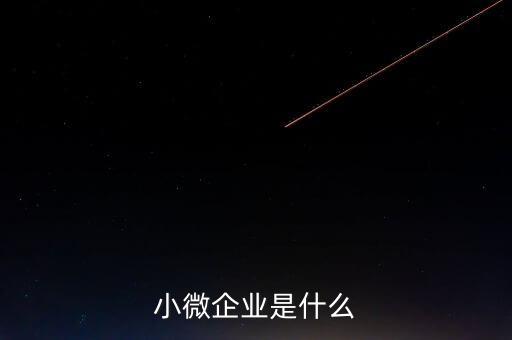 小微企業(yè)包括什么，小微企業(yè)是什么