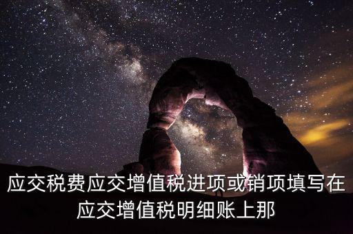 扣繳稅款登記填什么稅，在個人所得稅代扣代繳軟件中所要填寫的稅務(wù)登記號是填國稅的還是地