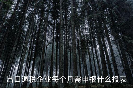 出口退稅每月需做什么申報(bào)，外貿(mào)企業(yè)第一次申報(bào)出口退稅需要準(zhǔn)備哪些資料