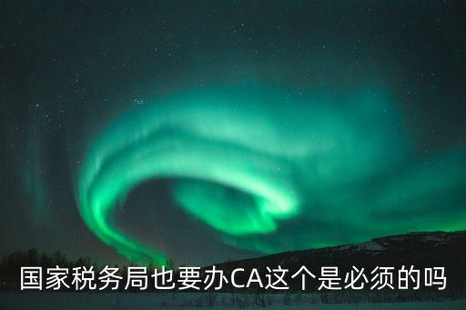 國(guó)稅ca是什么意思，短信提示我使用的國(guó)稅ca過(guò)期了什么個(gè)意思
