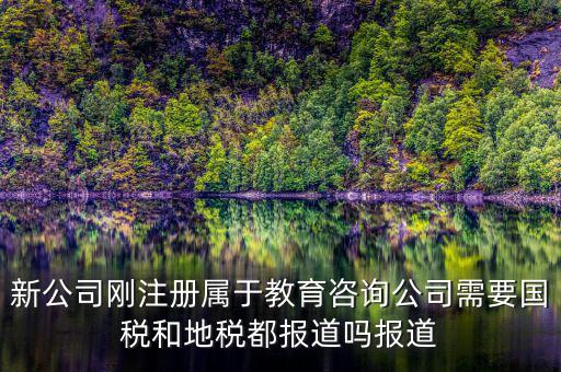 教育咨詢納什么稅，請問從教育事業(yè)的公司要納稅嗎