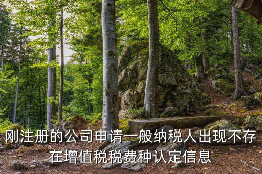 剛注冊的公司申請一般納稅人出現不存在增值稅稅費種認定信息