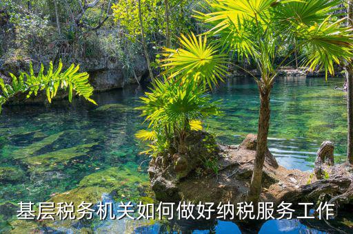 納稅服務(wù)是指什么，納稅服務(wù)的三個(gè)主體是什么