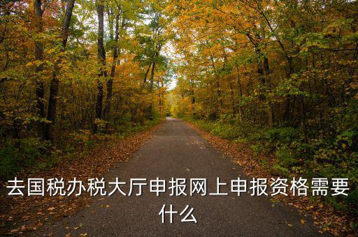 國稅網(wǎng)上申報用什么資料，去國稅辦稅大廳申報網(wǎng)上申報資格需要什么