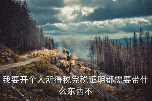 我要開個(gè)人所得稅完稅證明都需要帶什么東西不