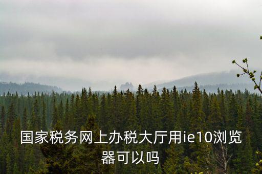 國(guó)稅網(wǎng)上申報(bào)用什么瀏覽器，山東國(guó)稅網(wǎng)上申報(bào)系統(tǒng)需要什么瀏覽器