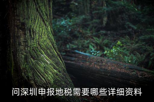 深圳市的地稅申報是什么，深圳市地稅怎么申報