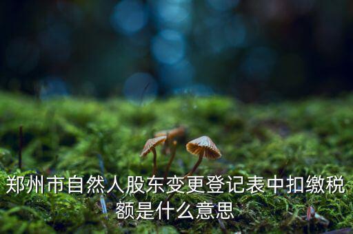 扣繳稅款登記是什么意思，應當按照稅收征管法等有關(guān)規(guī)定辦理扣繳稅款登記領(lǐng)取扣繳憑