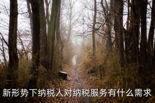 納稅服務(wù)的要求是什么，新形勢下納稅人對納稅服務(wù)有什么需求