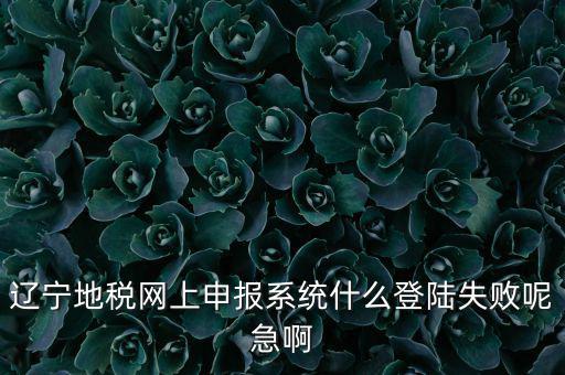 遼寧網(wǎng)上報(bào)稅為什么進(jìn)不去，遼寧地稅網(wǎng)上申報(bào)系統(tǒng)什么登陸失敗呢急啊