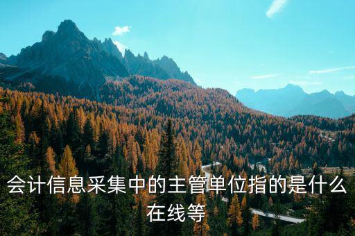 主管征收機(jī)關(guān)填什么，會(huì)計(jì)信息采集中的主管單位指的是什么在線等