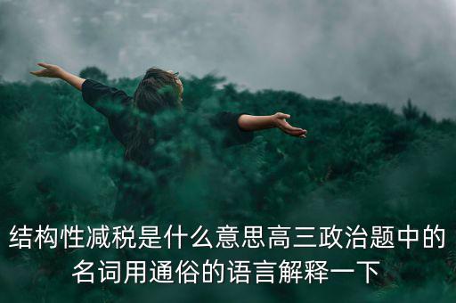 結構性減稅是什么意思高三政治題中的名詞用通俗的語言解釋一下