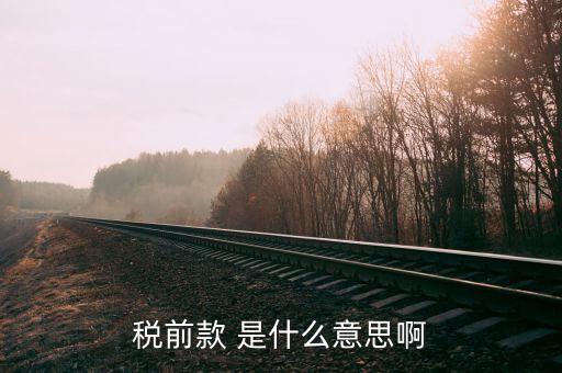 什么是稅前項目費，稅前款 是什么意思啊