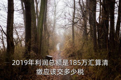 匯算清繳交什么稅，年度匯算清繳應(yīng)交稅率是多少