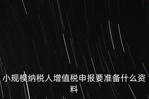 小規(guī)模報(bào)稅需要帶什么，小規(guī)模納稅人增值稅申報(bào)要準(zhǔn)備什么資料