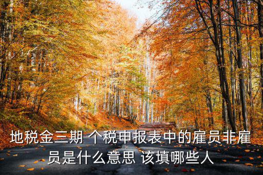 金稅四期是什么意思，地稅金三期 個(gè)稅申報(bào)表中的雇員非雇員是什么意思 該填哪些人