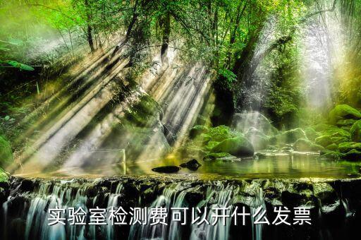 體檢費要開什么票，實驗室檢測費可以開什么發(fā)票