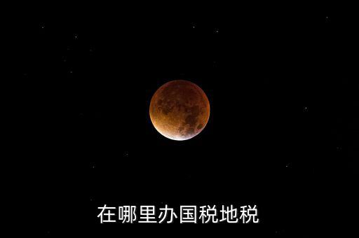 什么在地稅辦，在哪里辦國稅地稅
