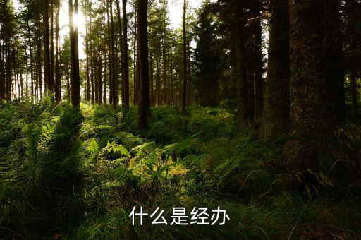 稅務(wù)文書經(jīng)辦是什么意思，什么是經(jīng)辦
