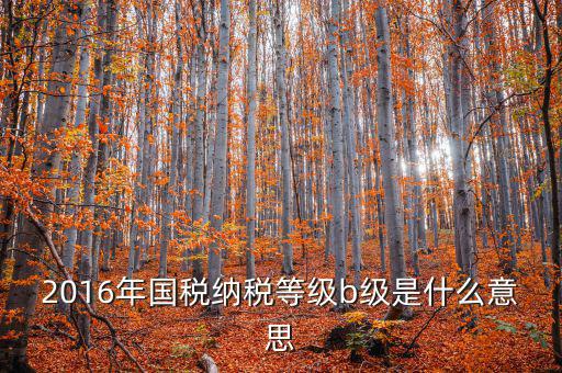 納稅信用等級(jí)評(píng) 什么用，企業(yè)納稅信用等級(jí)有何用處