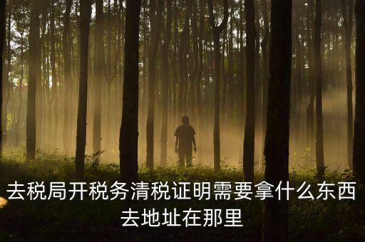 開清稅證明需要帶什么材料，各位親誰知道去國稅局開清稅證明需要帶什么