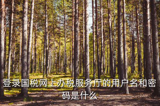 登錄國(guó)稅網(wǎng)上辦稅服務(wù)廳的用戶名和密碼是什么