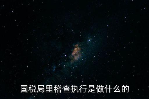 國(guó)稅局專案稽查查什么，稅局稽查會(huì)查些什么怎么應(yīng)對(duì)