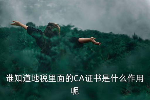稅務(wù)企業(yè)ca登錄是什么意思，網(wǎng)上報稅CA驗證系統(tǒng)是甚么