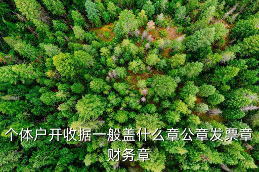 個體戶的定額發(fā)票蓋什么章，個體戶的定額發(fā)票上蓋的個體戶章能用嗎