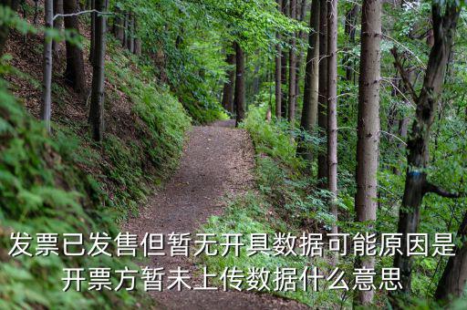 百旺的開(kāi)票未上傳是什么意思，發(fā)票已發(fā)售但暫無(wú)開(kāi)具數(shù)據(jù)可能原因是開(kāi)票方暫未上傳數(shù)據(jù)什么意思