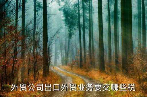 上海外貿企業(yè)交什么稅，外貿企業(yè)要交什么稅