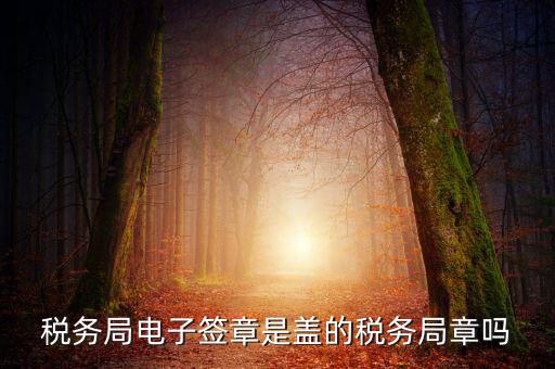 稅務(wù)局電子簽章是什么，在國稅系統(tǒng)電子簽章時(shí)為什么不是每次都提示輸入口令